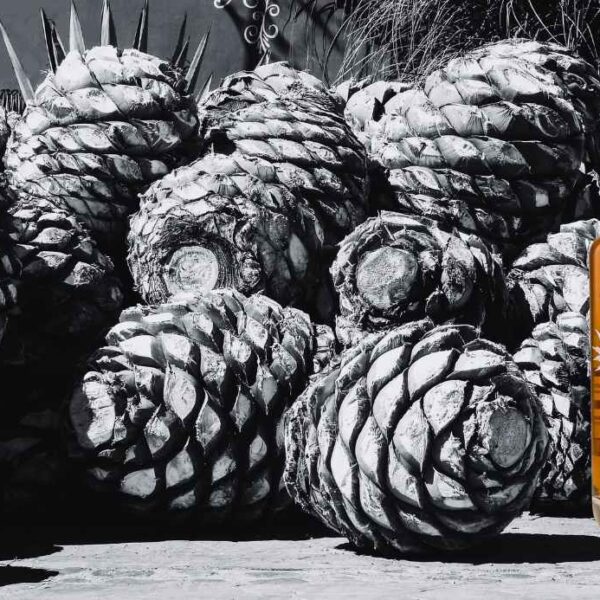 Stauning – Bastard