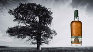 teeling-wonders-of-wood-2